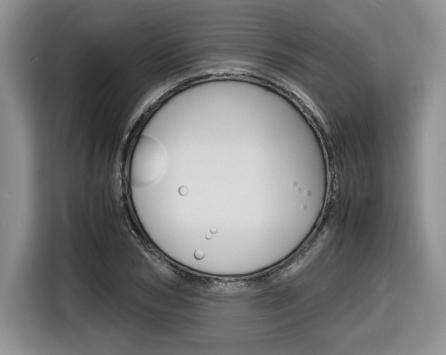 X0000116680978200912141002