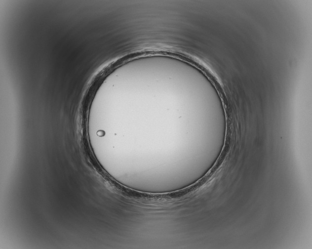 X0000116680979200912141002