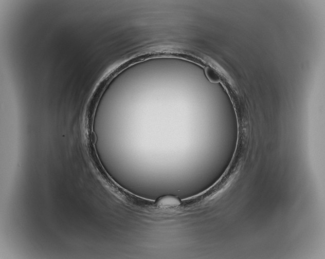 X0000116680981200912141002
