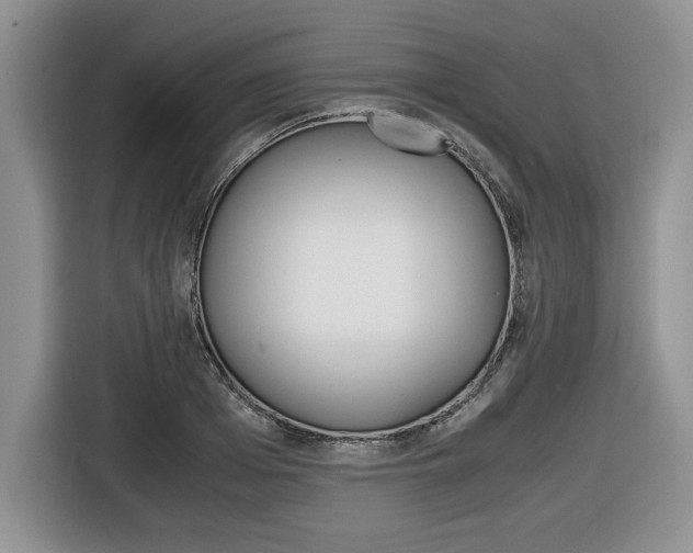 X0000116680985200912141002