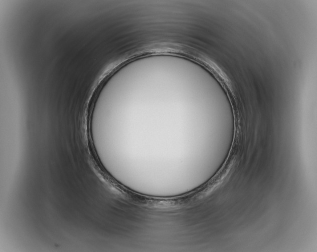 X0000116680986200912141002