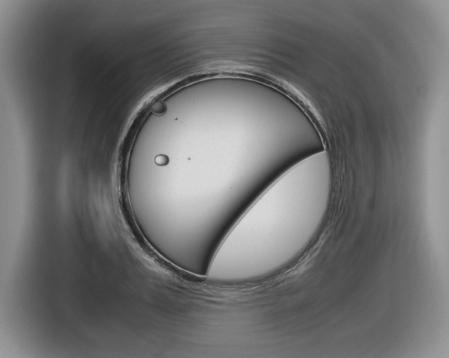 X0000116680987200912141002