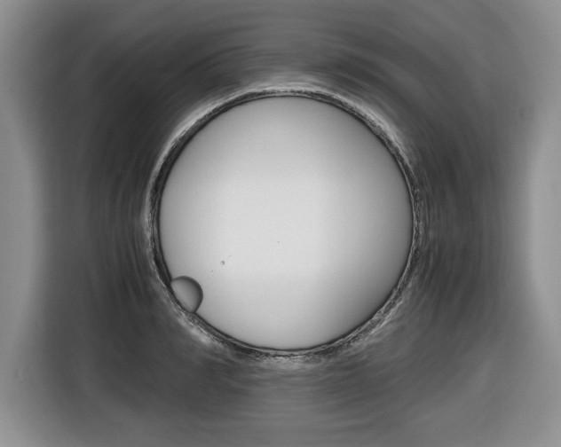 X0000116680990200912141002