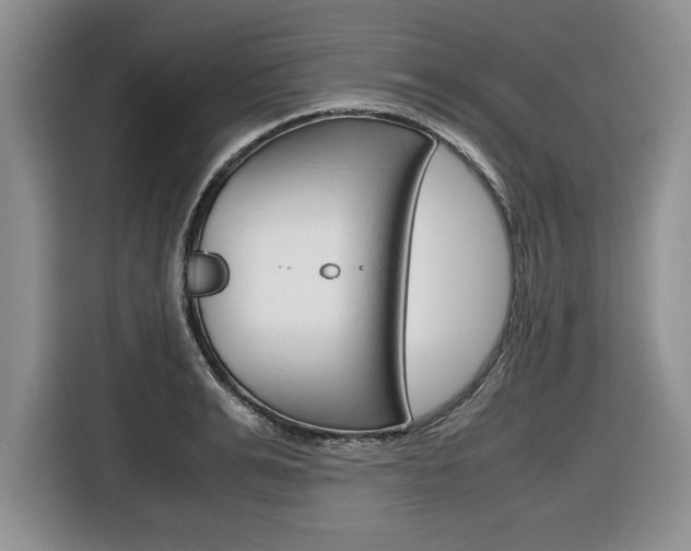 X0000116680991200912141002