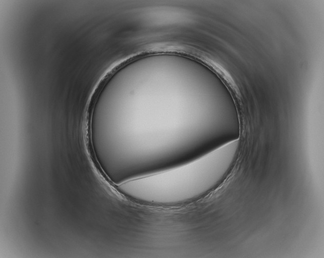 X0000116680992200912141002