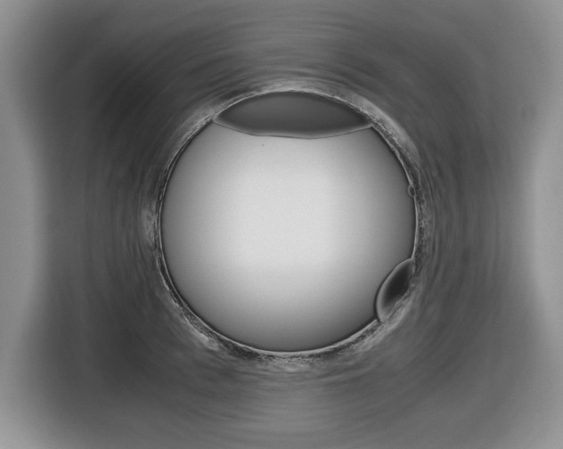 X0000116680993200912141002