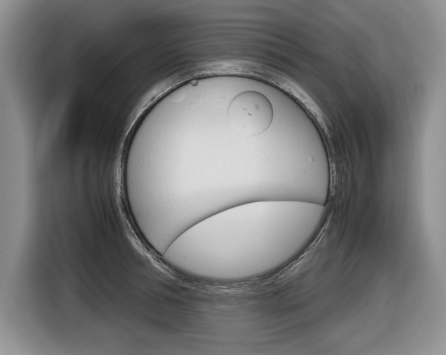 X0000116680994200912141002