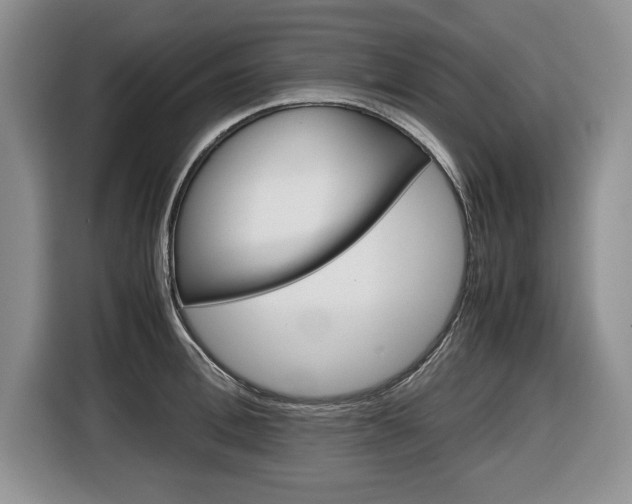 X0000116680996200912141002