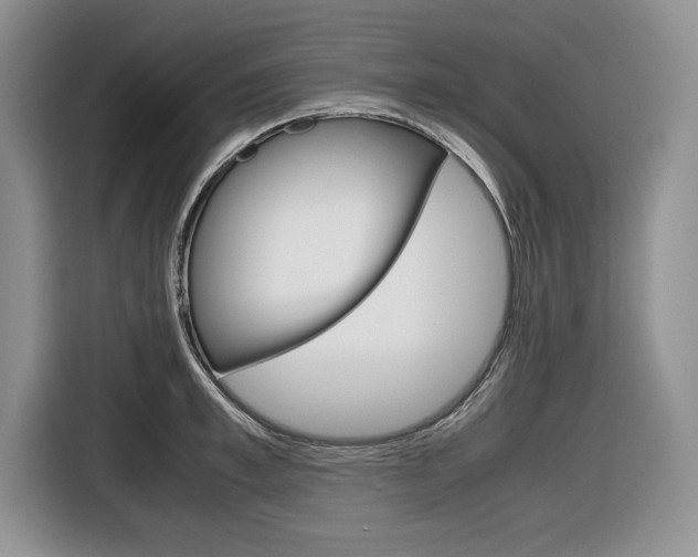 X0000116680997200912141002
