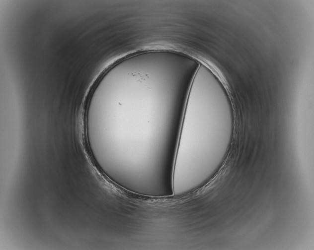 X0000116681000200912141001