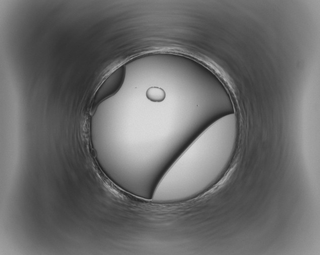 X0000116681001200912141001