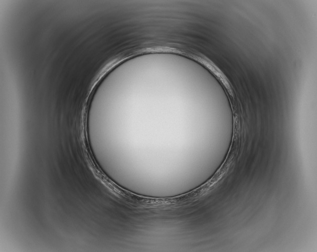 X0000116681002200912141001