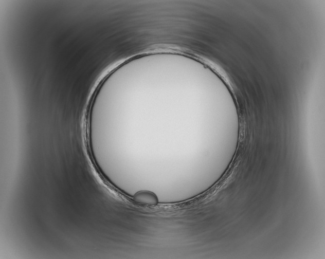 X0000116681003200912141001