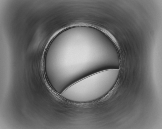 X0000116681004200912141001