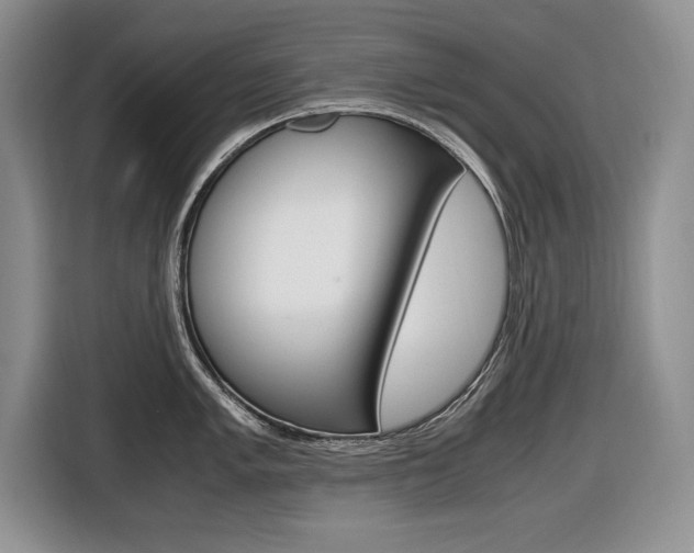 X0000116681005200912141001