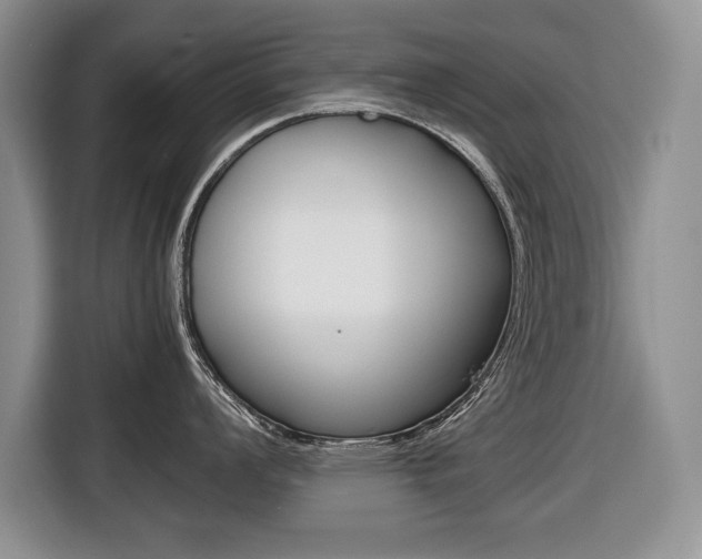 X0000116681008200912141001