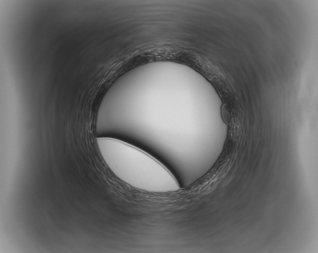 X0000116681010200912141001