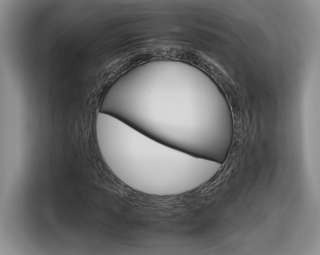 X0000116681013200912141001