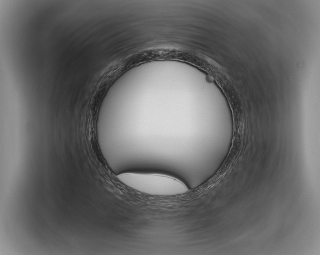 X0000116681014200912141001