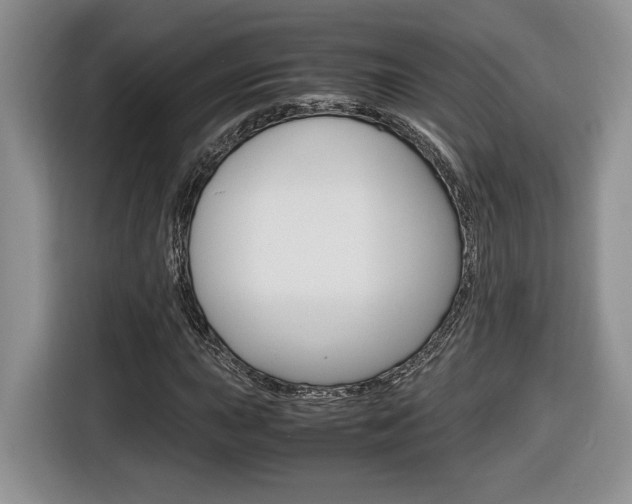 X0000116681015200912141001