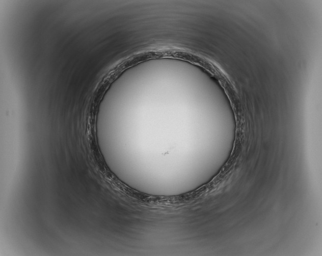 X0000116681016200912141001