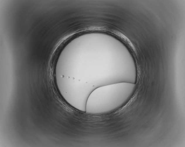 X0000116681019200912141001