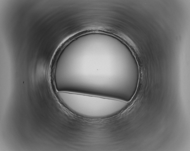 X0000116681020200912141001