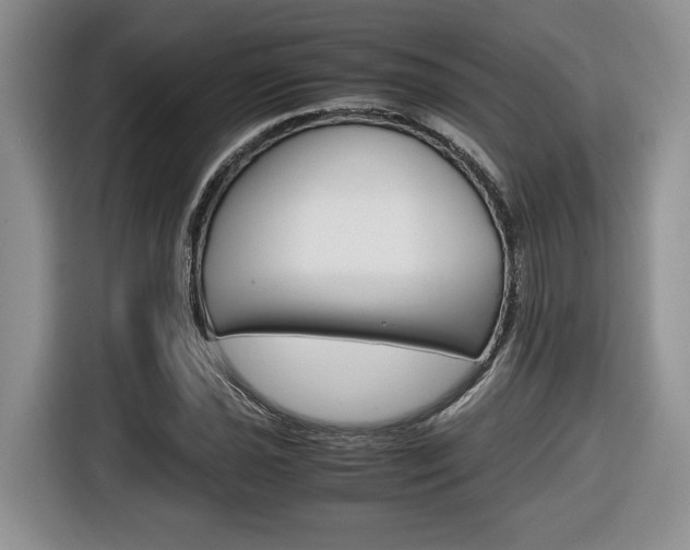 X0000116681021200912141001