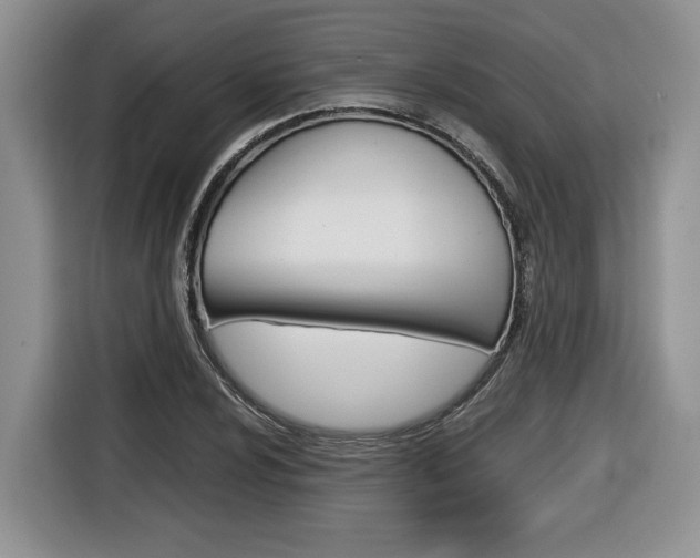 X0000116681024200912141001