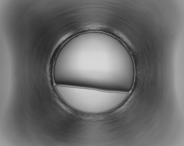 X0000116681026200912141001