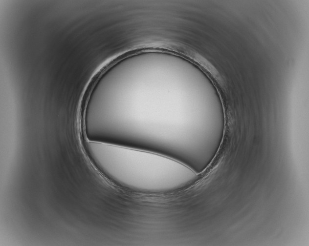 X0000116681028200912141001