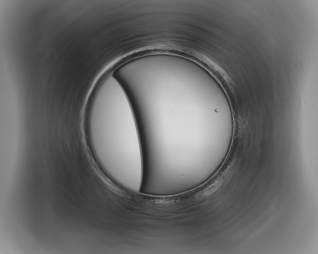 X0000116681029200912141001