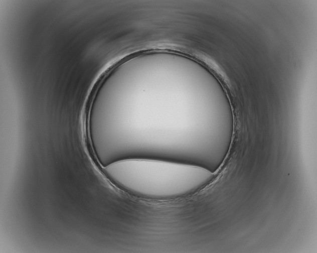 X0000116681032200912141001