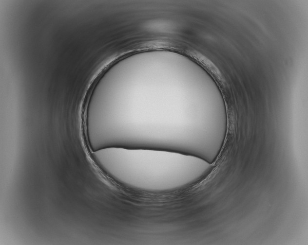 X0000116681039200912141001