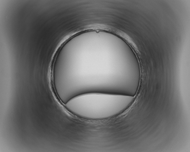 X0000116681040200912141001