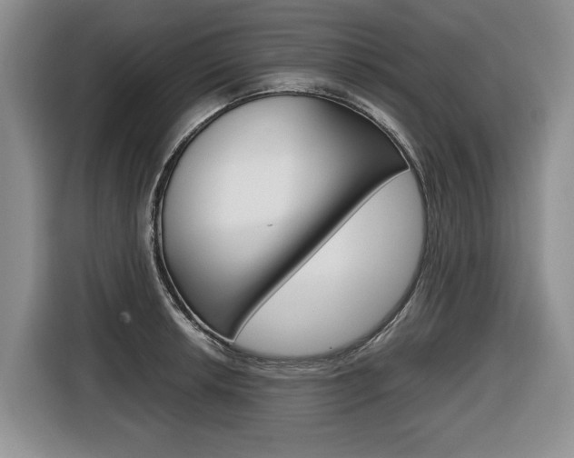 X0000116681042200912141001