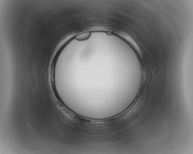 X0000116681043200912141001