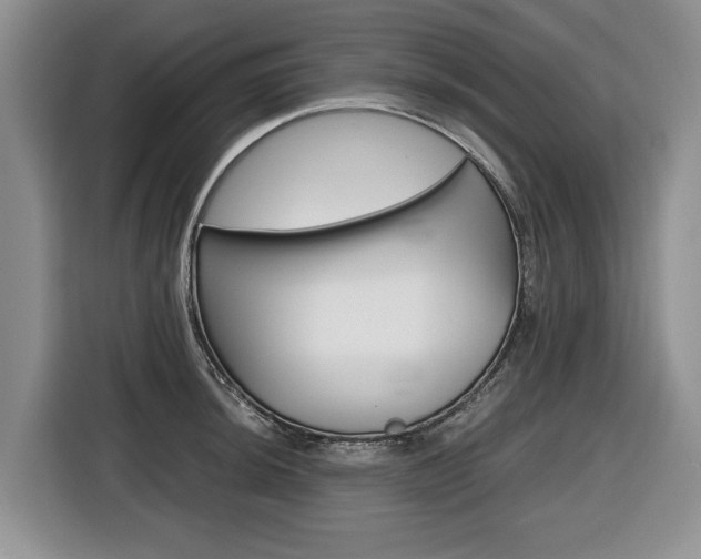 X0000116681044200912141001