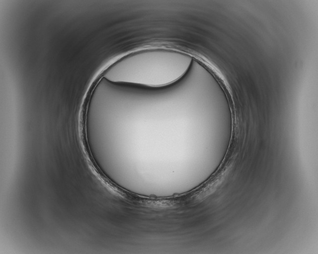 X0000116681045200912141001