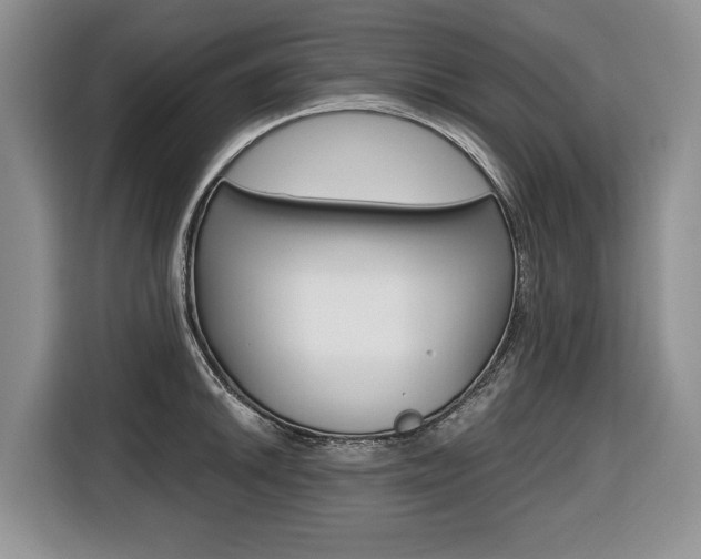 X0000116681046200912141001