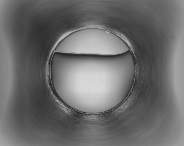 X0000116681048200912141001