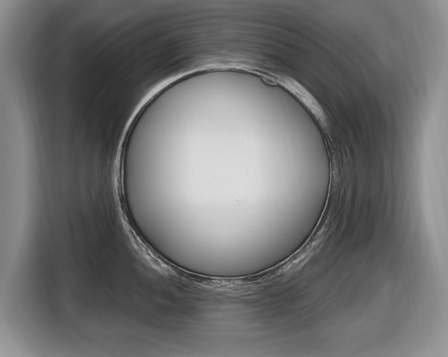 X0000116681052200912141001