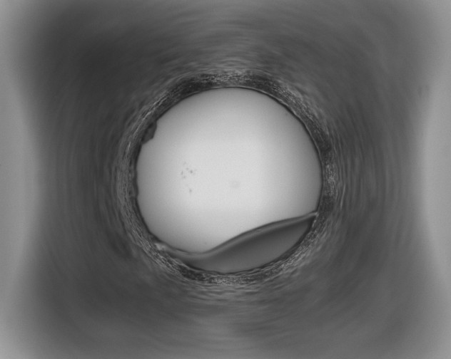 X0000116681057200912141001