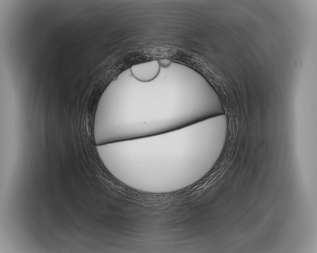 X0000116681058200912141001