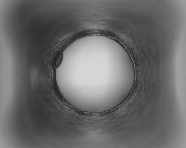 X0000116681061200912141001