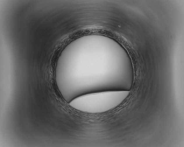 X0000116681062200912141001