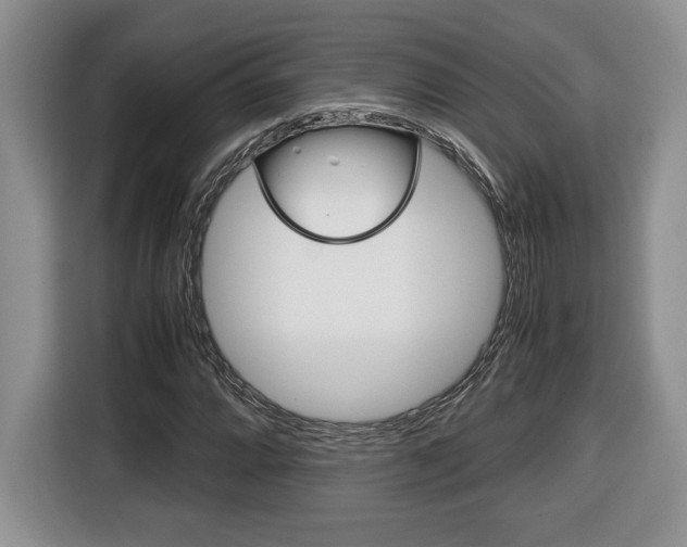 X0000116681064200912141001
