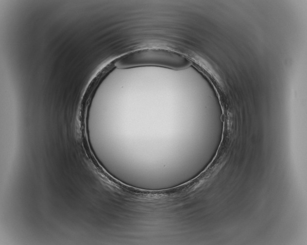 X0000116681068200912141001