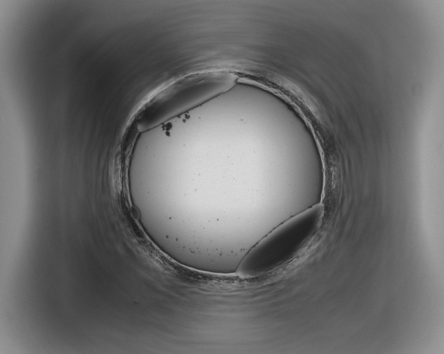 X0000116681069200912141001