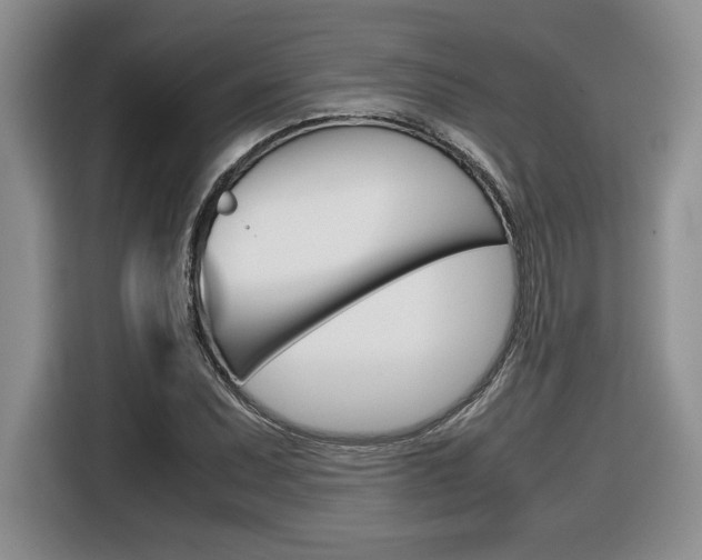 X0000116681071200912141001
